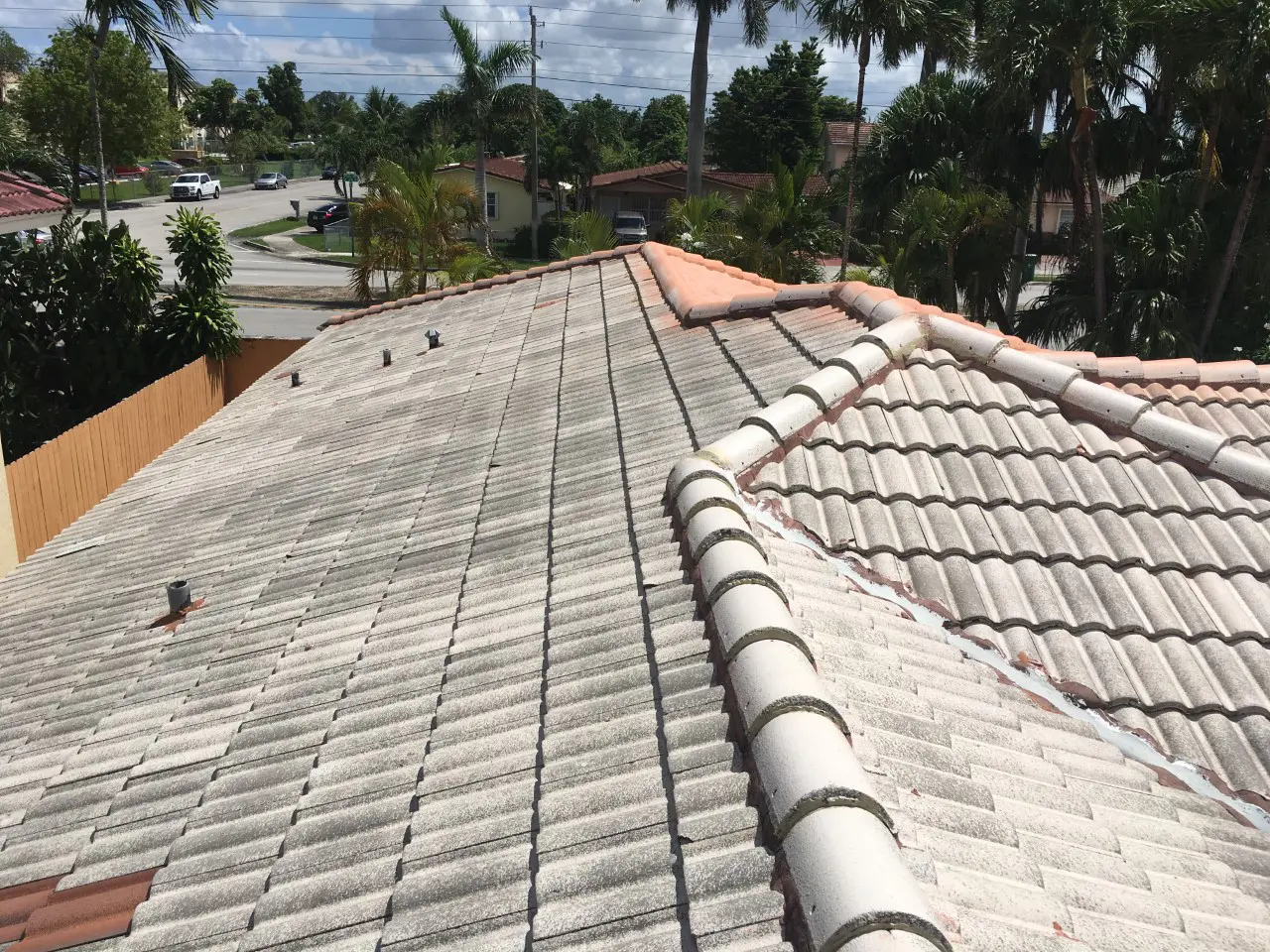roof stain