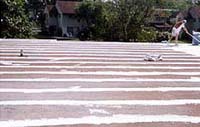 Commercial Flat Roof Sunrise Florida