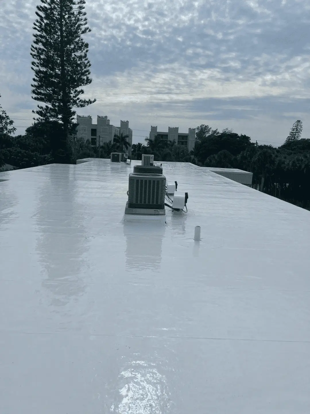 Flat Roof Sealants