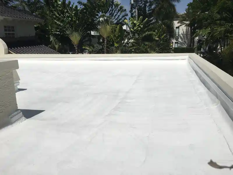 Silicone Roof Paint System
