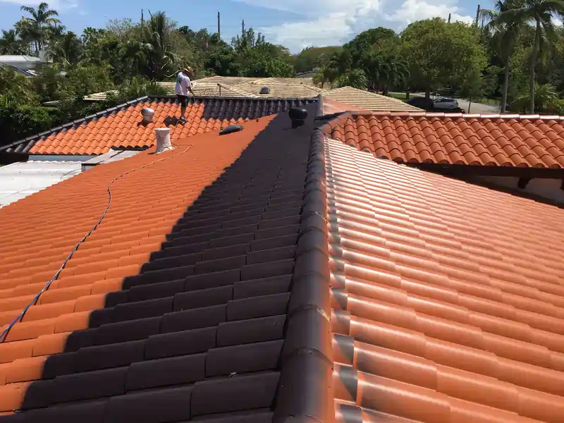 Roof Tile Roof Painting Application